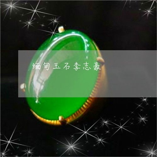 緬甸玉石的文化財富 珠寶首飾零售的機遇與挑戰(zhàn)——李志豪會長專訪